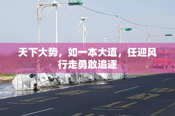 天下大势，如一本大道，任迎风行走勇敢追逐