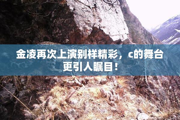 金凌再次上演别样精彩，c的舞台更引人瞩目！