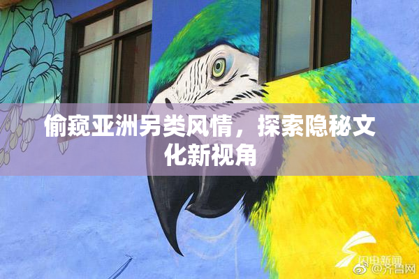 偷窥亚洲另类风情，探索隐秘文化新视角