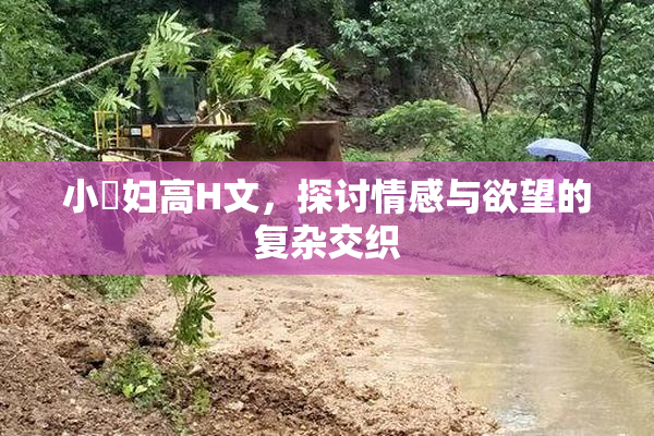 小婬妇高H文，探讨情感与欲望的复杂交织