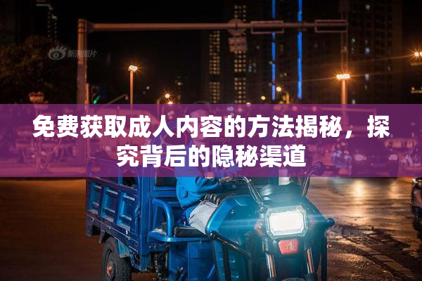 免费获取成人内容的方法揭秘，探究背后的隐秘渠道