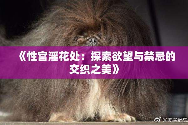 《性宫淫花处：探索欲望与禁忌的交织之美》