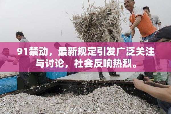 91禁动，最新规定引发广泛关注与讨论，社会反响热烈。