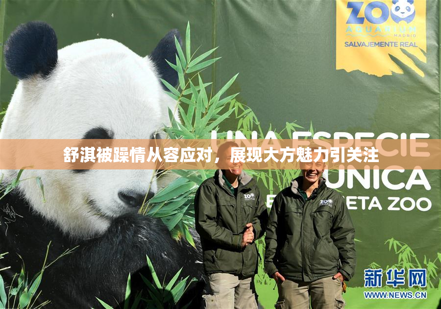 舒淇被躁情从容应对，展现大方魅力引关注