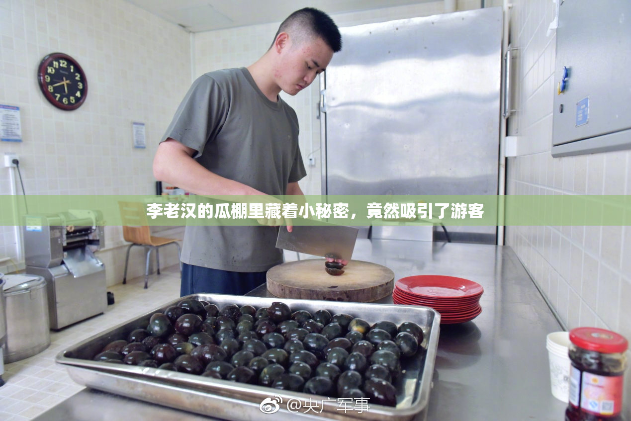 李老汉的瓜棚里藏着小秘密，竟然吸引了游客