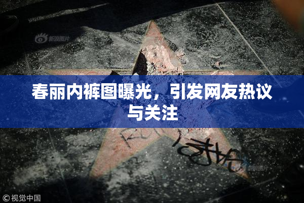 春丽内裤图曝光，引发网友热议与关注