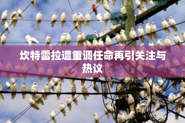 坎特雷拉遭重调任命再引关注与热议