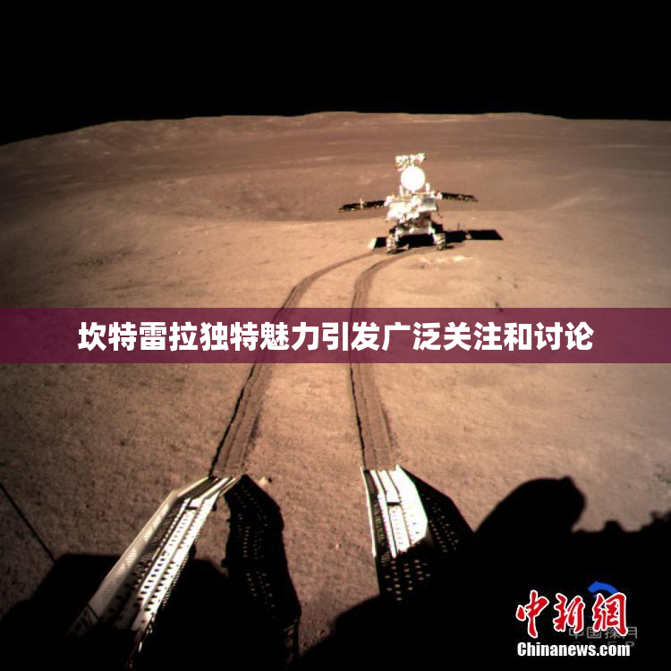坎特雷拉独特魅力引发广泛关注和讨论