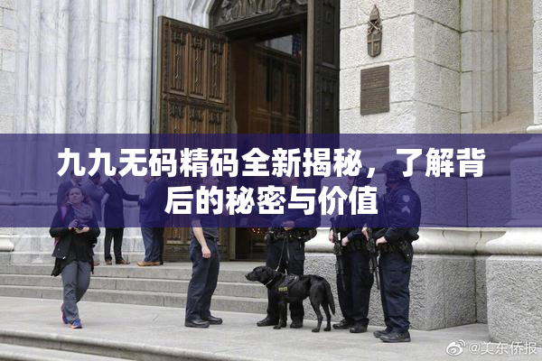 九九无码精码全新揭秘，了解背后的秘密与价值