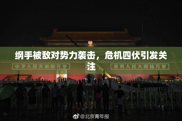 纲手被敌对势力袭击，危机四伏引发关注