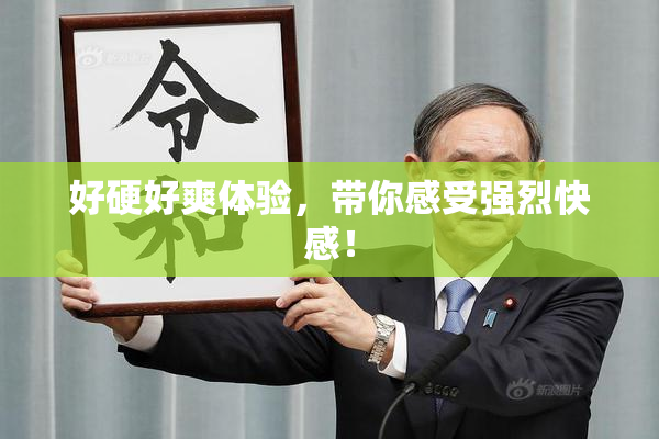 好硬好爽体验，带你感受强烈快感！