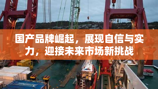 国产品牌崛起，展现自信与实力，迎接未来市场新挑战