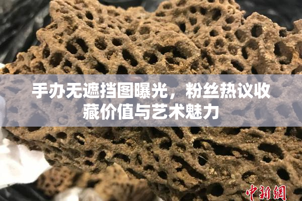 手办无遮挡图曝光，粉丝热议收藏价值与艺术魅力