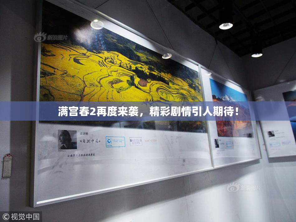 满宫春2再度来袭，精彩剧情引人期待！