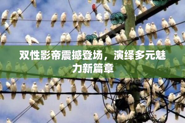 双性影帝震撼登场，演绎多元魅力新篇章