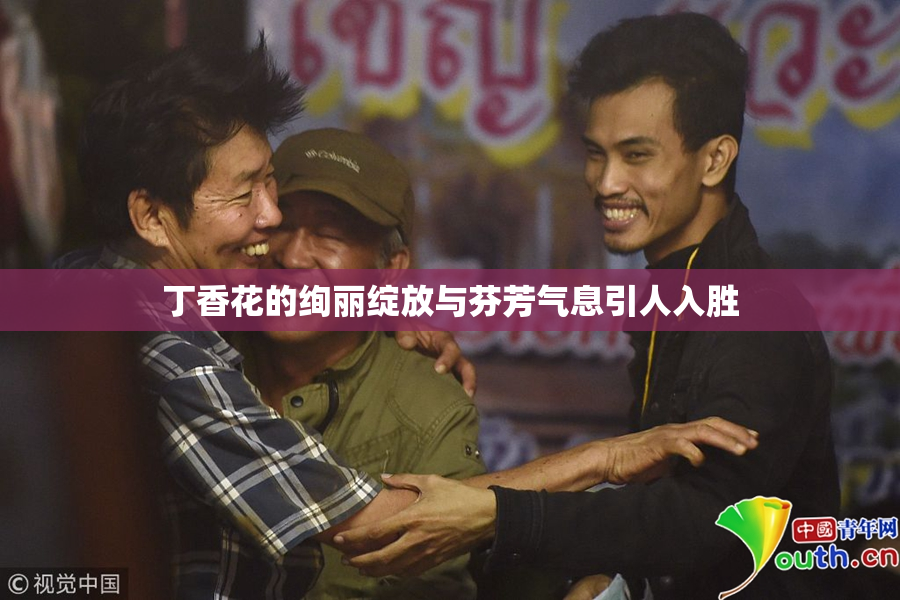 丁香花的绚丽绽放与芬芳气息引人入胜
