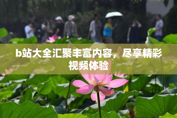 b站大全汇聚丰富内容，尽享精彩视频体验