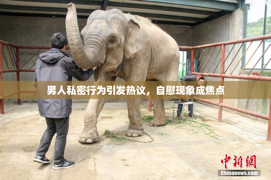 男人私密行为引发热议，自慰现象成焦点