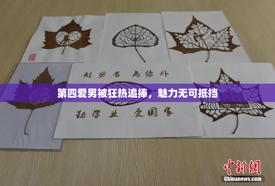 第四爱男被狂热追捧，魅力无可抵挡