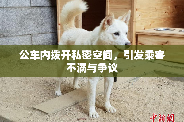 公车内拨开私密空间，引发乘客不满与争议