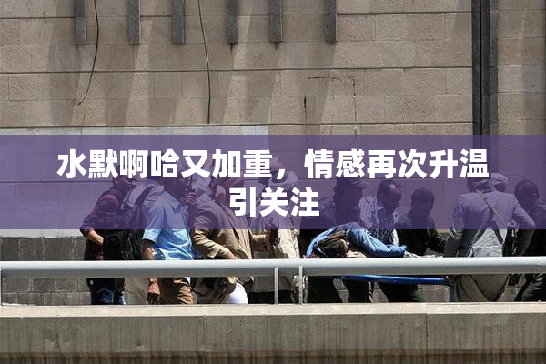 水默啊哈又加重，情感再次升温引关注