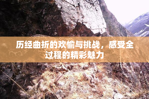 历经曲折的欢愉与挑战，感受全过程的精彩魅力