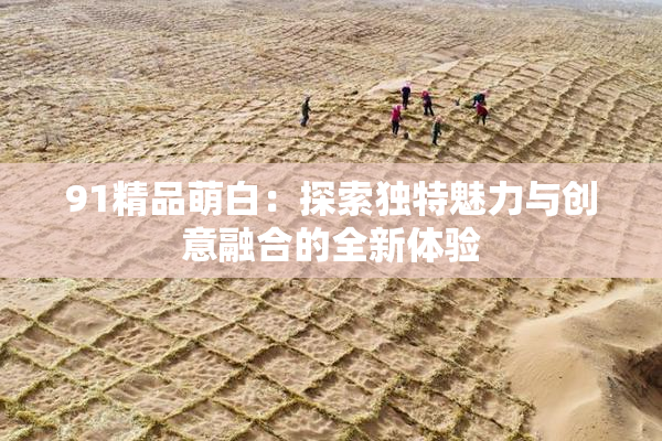 91精品萌白：探索独特魅力与创意融合的全新体验