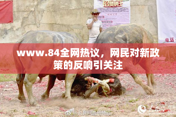 www.84全网热议，网民对新政策的反响引关注