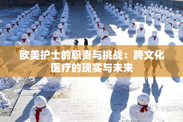 欧美护士的职责与挑战：跨文化医疗的现实与未来