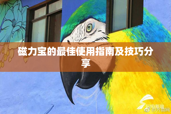 磁力宝的最佳使用指南及技巧分享