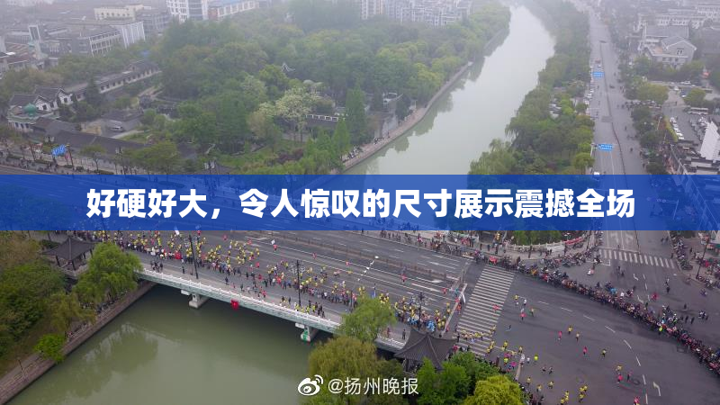 好硬好大，令人惊叹的尺寸展示震撼全场