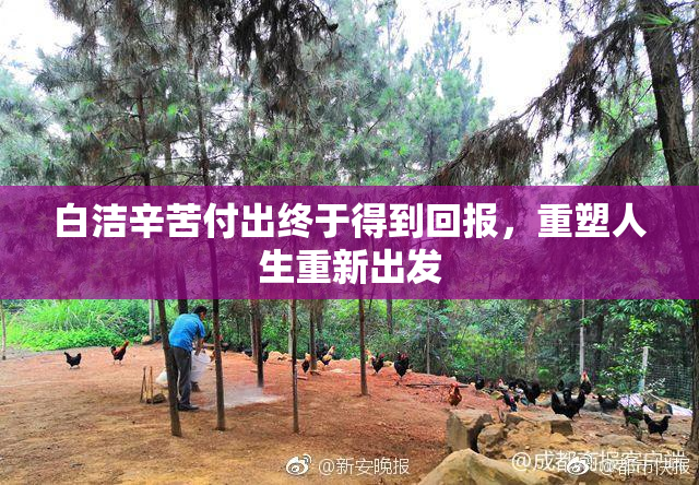 白洁辛苦付出终于得到回报，重塑人生重新出发