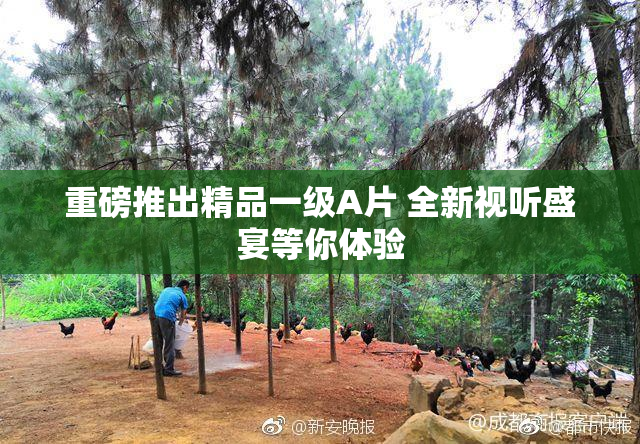 重磅推出精品一级A片 全新视听盛宴等你体验