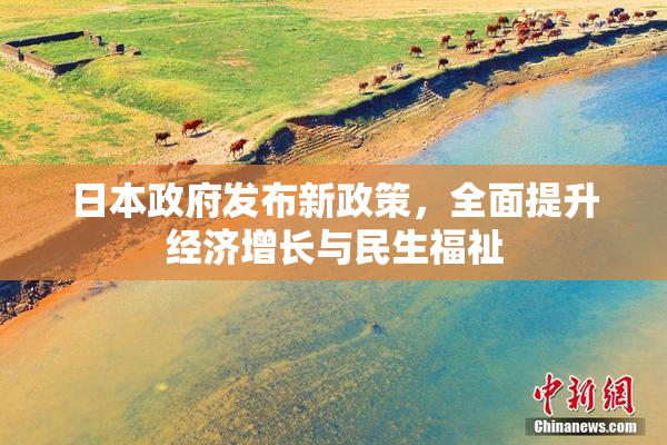 日本政府发布新政策，全面提升经济增长与民生福祉