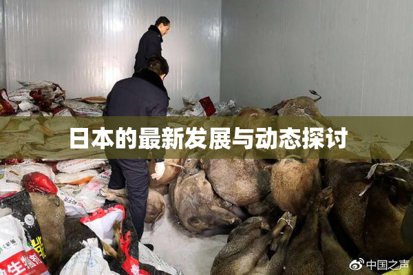 日本的最新发展与动态探讨