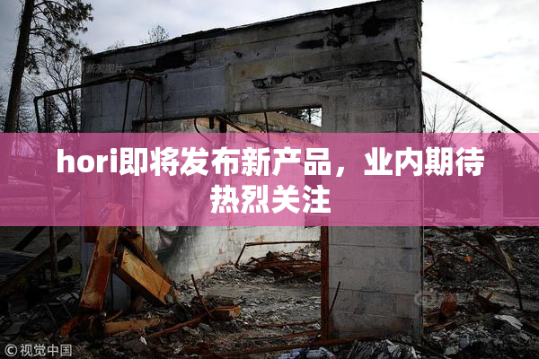 hori即将发布新产品，业内期待热烈关注