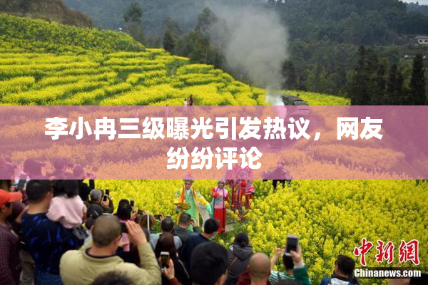 李小冉三级曝光引发热议，网友纷纷评论
