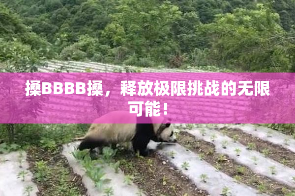 搡BBBB搡，释放极限挑战的无限可能！