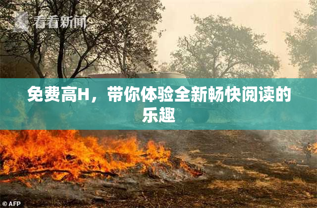 免费高H，带你体验全新畅快阅读的乐趣