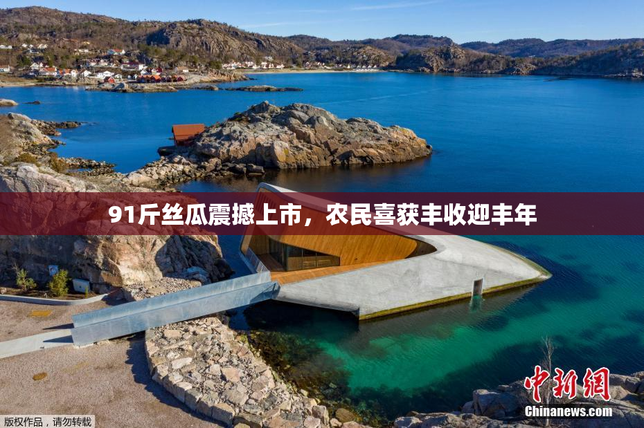 91斤丝瓜震撼上市，农民喜获丰收迎丰年