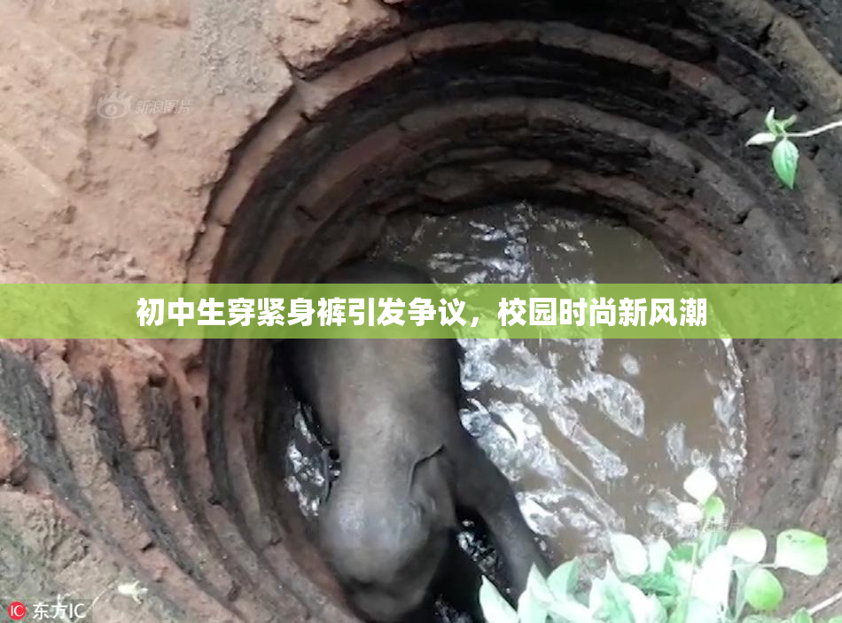 初中生穿紧身裤引发争议，校园时尚新风潮