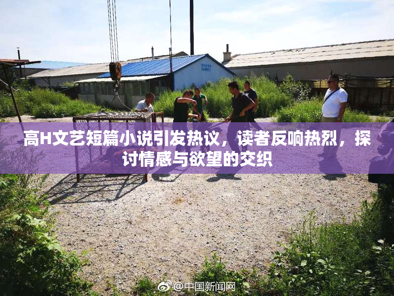 高H文艺短篇小说引发热议，读者反响热烈，探讨情感与欲望的交织