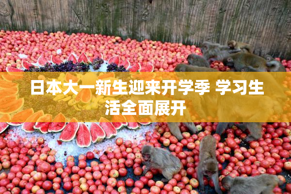 日本大一新生迎来开学季 学习生活全面展开