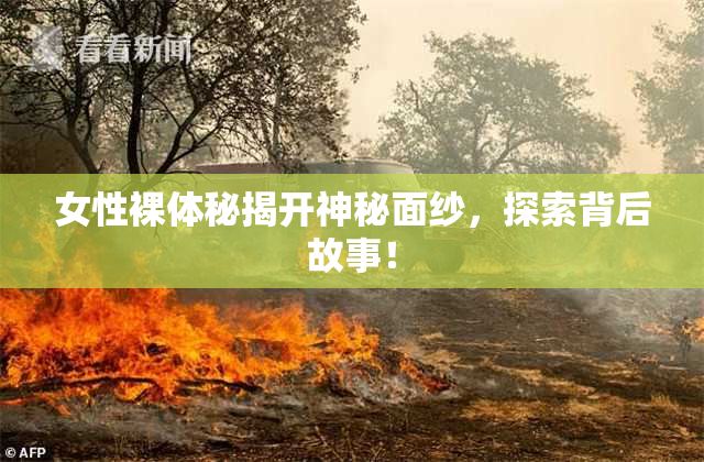 女性裸体秘揭开神秘面纱，探索背后故事！