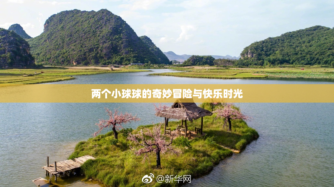 两个小球球的奇妙冒险与快乐时光
