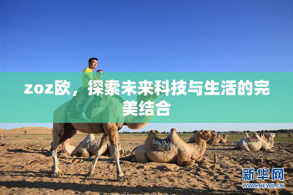 zoz欧，探索未来科技与生活的完美结合