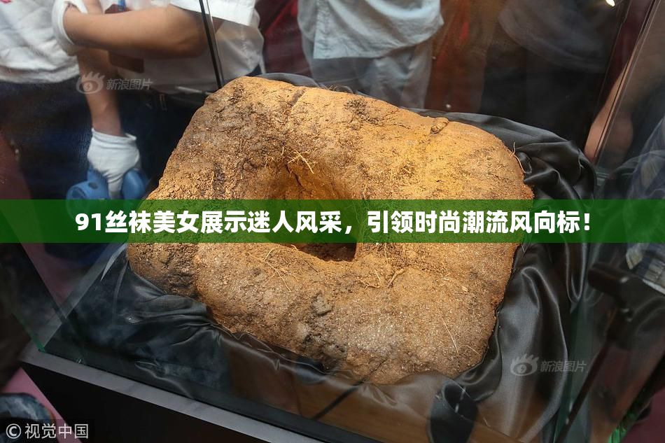 91丝袜美女展示迷人风采，引领时尚潮流风向标！