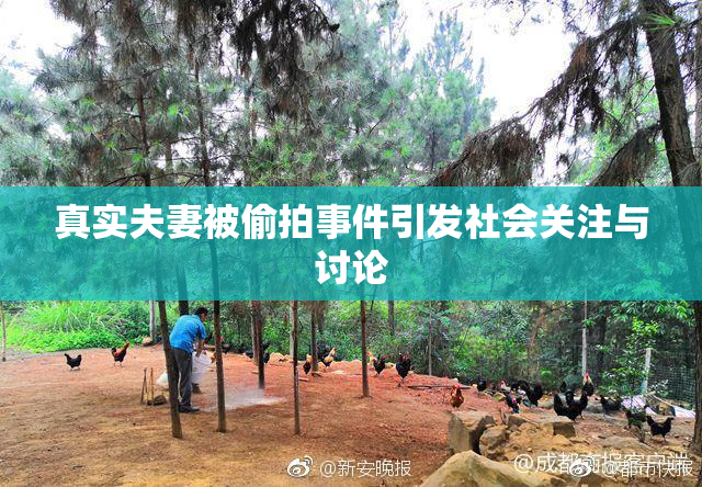 真实夫妻被偷拍事件引发社会关注与讨论