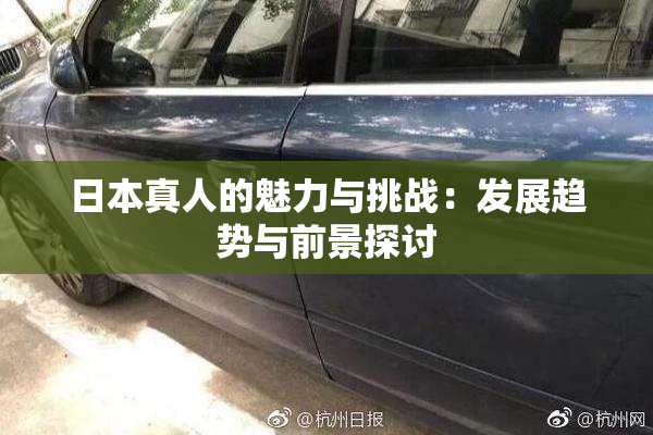 日本真人的魅力与挑战：发展趋势与前景探讨