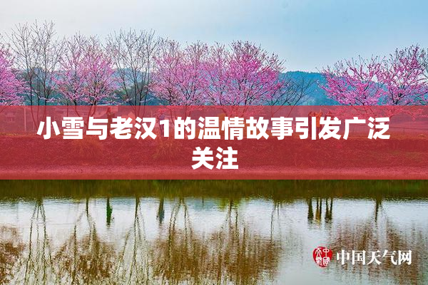 小雪与老汉1的温情故事引发广泛关注